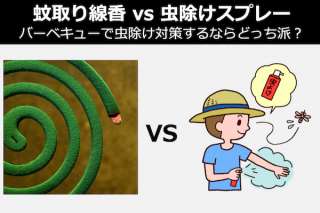 【蚊取り線香 vs 虫除けスプレー】バーベキューで虫除け対策するならどっち派？人気投票中！