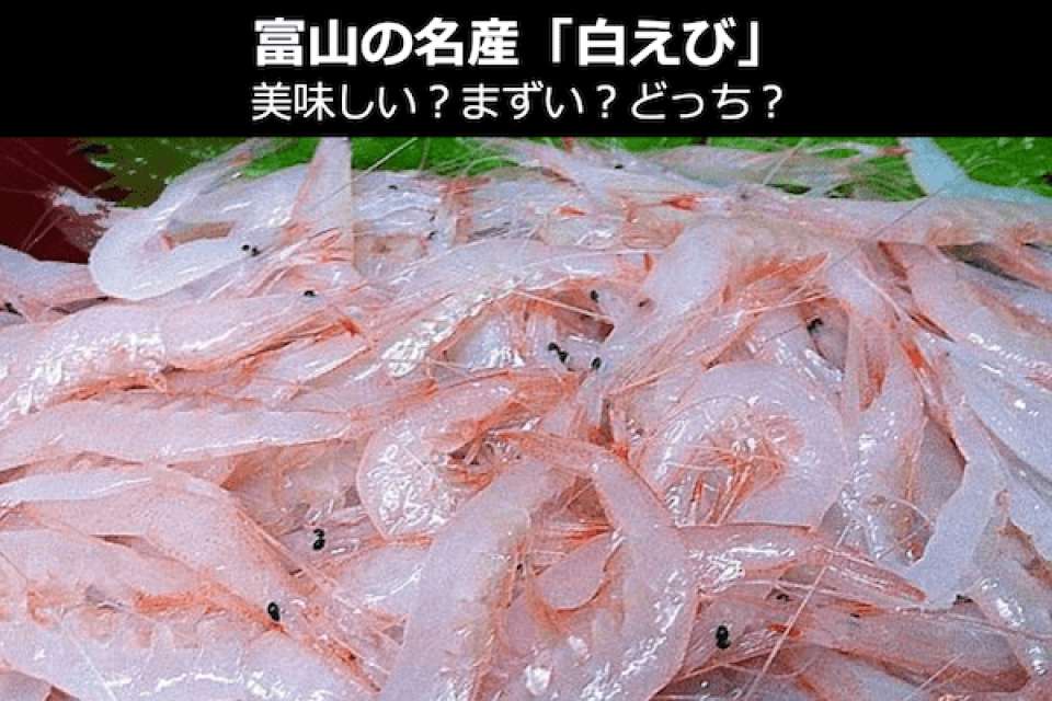 富山県の名物「白えび」の魅力と特徴!