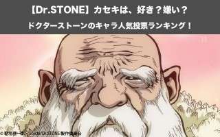 【Dr.STONE】カセキは、好き？嫌い？｜ドクターストーンのキャラ人気投票ランキング！