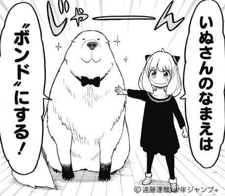 漫画「SPY×FAMILY（スパイファミリー）」ボンドのキャラ紹介画像