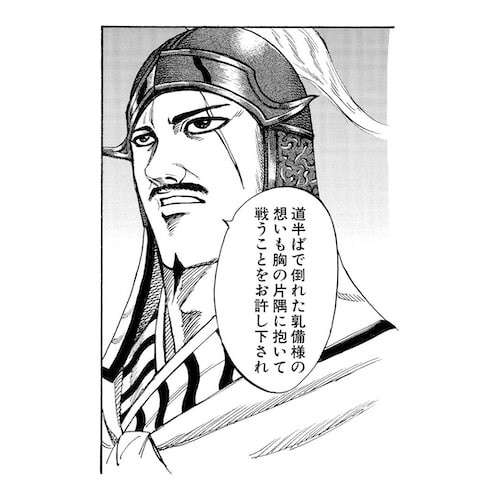 【キングダム】楚水（そ すい）の経歴