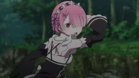 ラムとフレデリカの強さは？画像