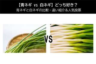 【青ネギ vs 白ネギ】どっち好き？青ネギと白ネギの比較・違い紹介＆人気アンケート