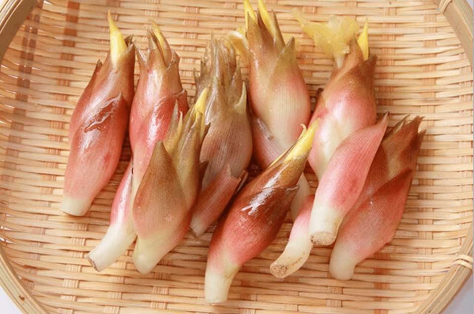 【みょうが】の特徴・魅力