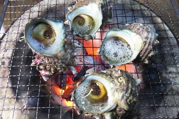 【サザエ】の特徴・魅力