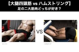 【大腿四頭筋 vs ハムストリング】足の二大筋肉どっちが好き？人気アンケート調査！
