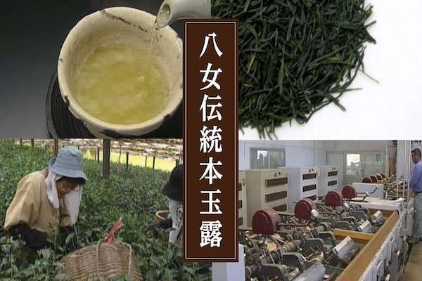 八女茶が高級茶である理由