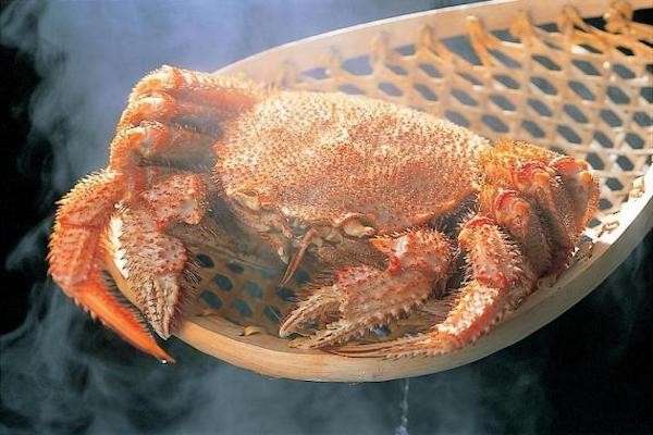 ガニの魅力