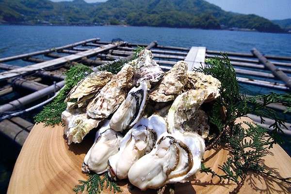 「九十九島かきチャウダー」の特徴は？
