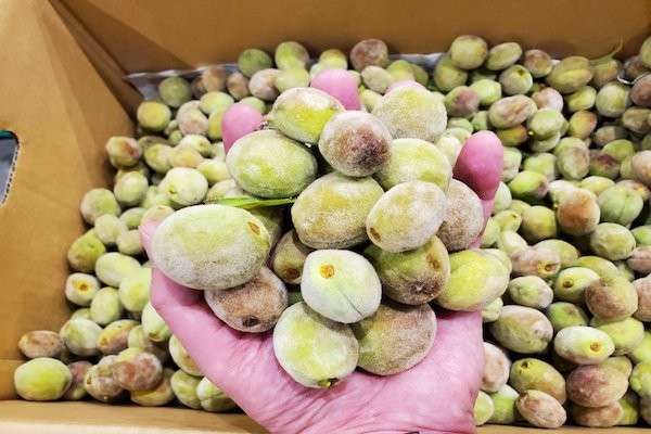 【若桃の甘露煮】は好き嫌いが分かれる？