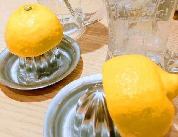 【レモンサワー】の特徴
