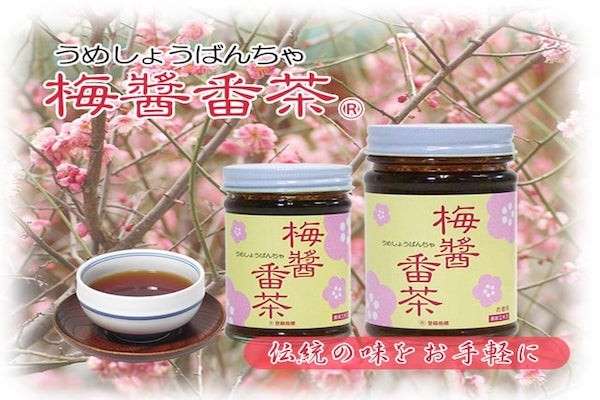 【梅醤番茶】の特徴・魅力