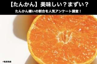 【たんかん】美味しい？まずい？どっち？たんかん嫌いの割合を人気アンケート調査！
