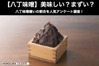 【八丁味噌】美味しい？まずい？どっち？八丁味噌嫌いの割合を人気アンケート調査！