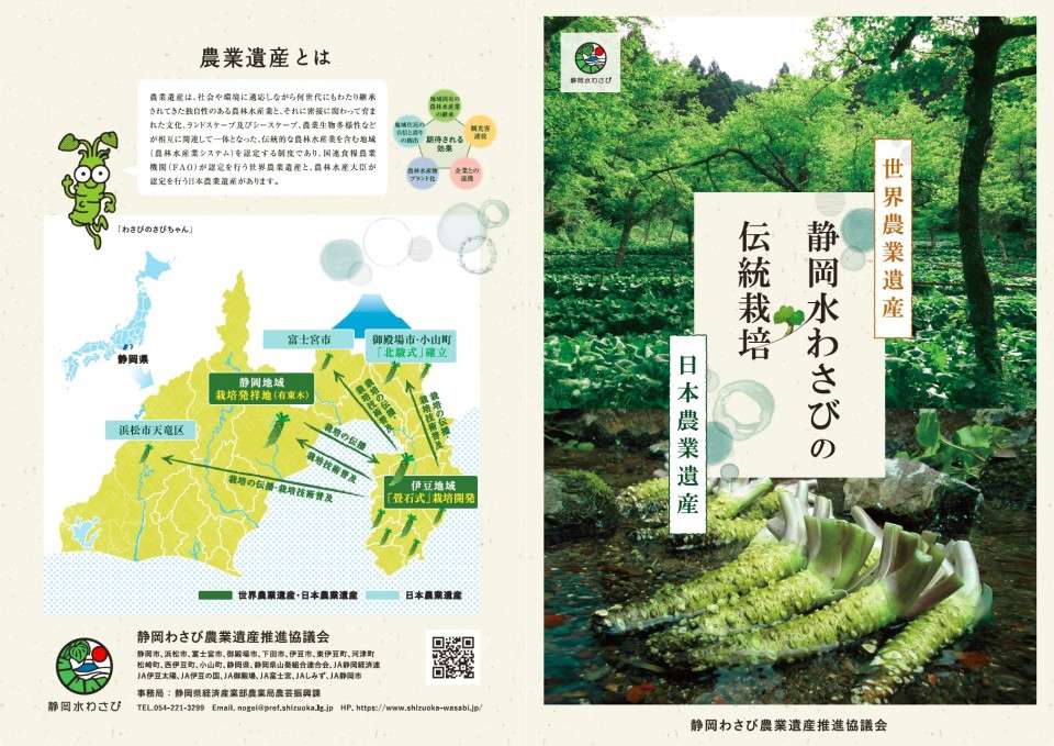 世界農業遺産にも認定された、静岡わさび