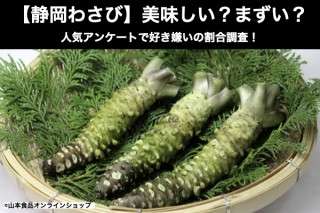 【静岡わさび】美味しい？まずい？どっち？人気アンケートで好き嫌いの割合調査！