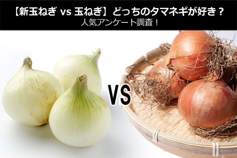 【新玉ねぎ vs 玉ねぎ】どっちのタマネギが好き?人気アンケート調査!