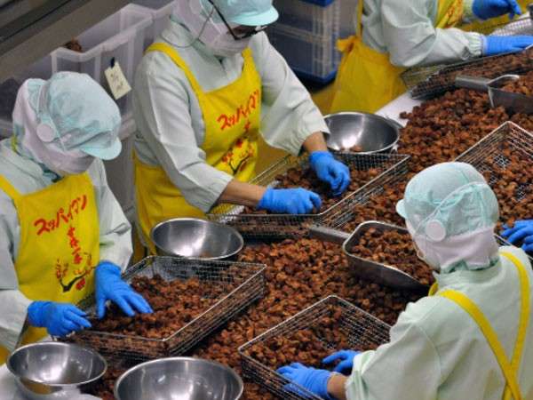 上間菓子店の工場で観光とお土産購入