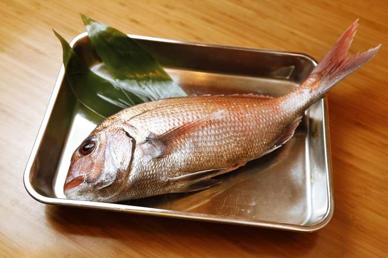 宇和島鯛めしの発祥