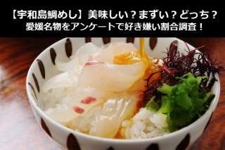 【宇和島鯛めし】美味しい？まずい？どっち？愛媛名物をアンケートで好き嫌い割合調査！