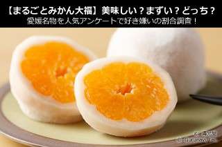 【まるごとみかん大福】美味しい？まずい？どっち？愛媛名物を人気アンケートで好き嫌いの割合調査！