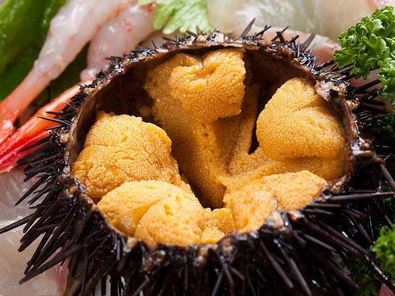 【うにぎりたこロッケ】の特徴・魅力