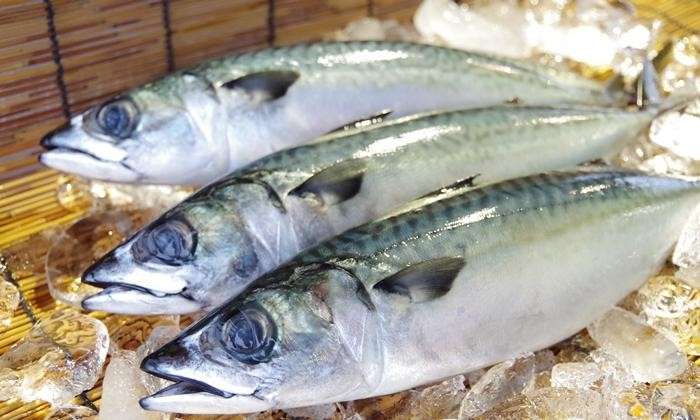 【金華サバ】の特徴・魅力
