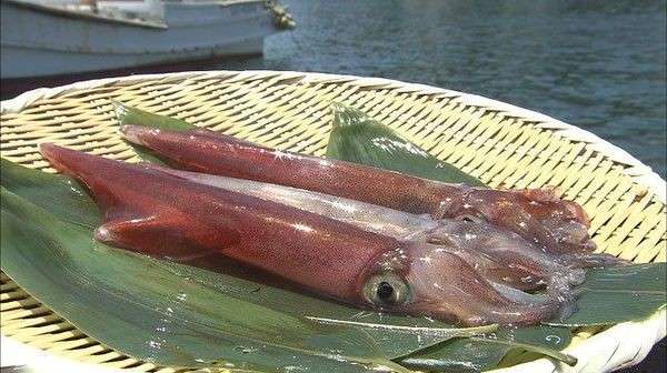 【呼子いか】の特徴・魅力