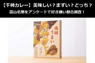 【干柿カレー】美味しい？まずい？どっち？富山名物をアンケートで好き嫌い割合調査！