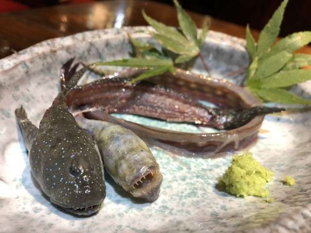 【むつごろう鍋】の特徴・魅力