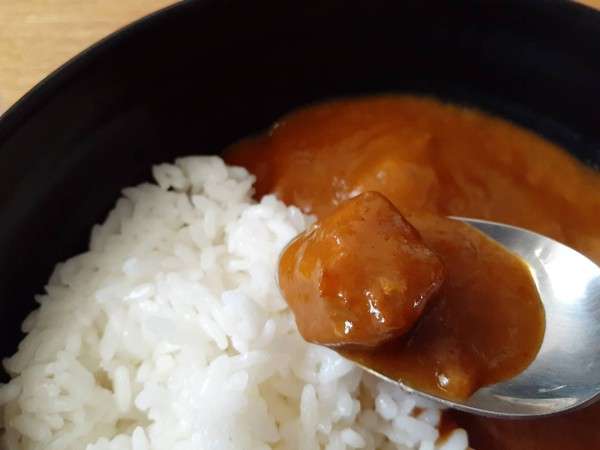 【翻車魚カレー】の特徴・魅力