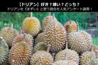 【ドリアン】好き？嫌い？どっち？ドリアンを『まずい』と思う割合を人気アンケート調査！