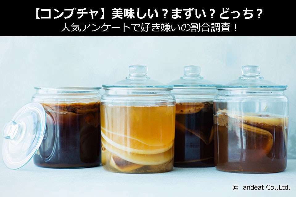 【コンブチャ】美味しい？まずい？どっち？人気アンケートで好き嫌いの割合調査！