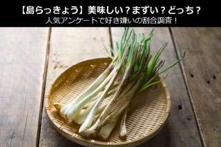 【島らっきょう】美味しい？まずい？どっち？人気アンケートで好き嫌いの割合調査！