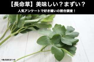 【長命草】美味しい？まずい？どっち？人気アンケートで好き嫌いの割合調査！