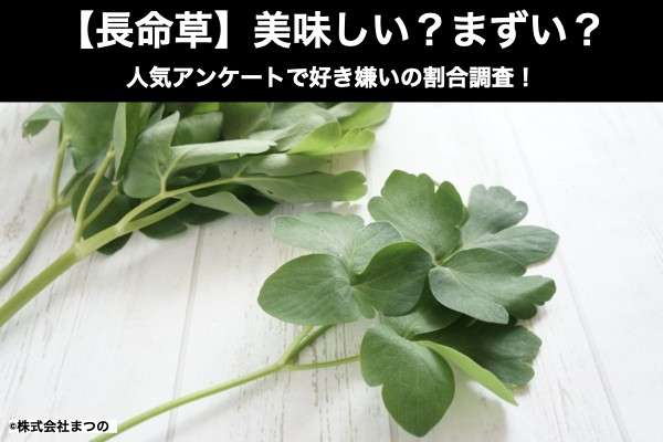 【長命草】美味しい?まずい?どっち?人気アンケートで好き嫌いの割合調査!