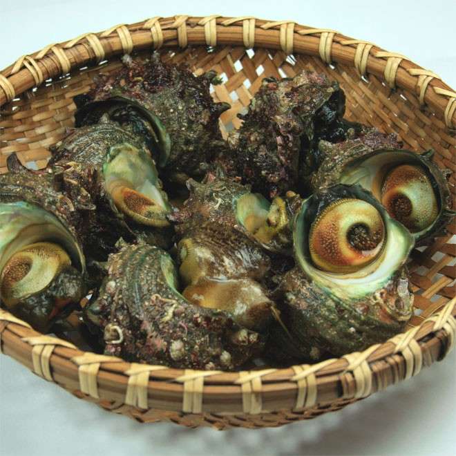 【サザエカレー】は好き嫌いが分かれる？