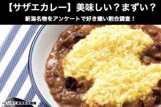 【サザエカレー】美味しい？まずい？どっち？新潟名物をアンケートで好き嫌い割合調査！