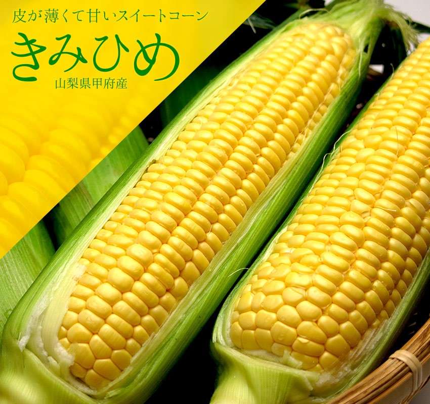 そもそも「きみひめ」とは？
