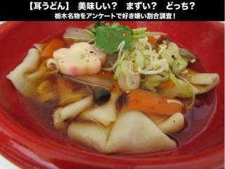 【耳うどん】美味しい？まずい？どっち？栃木名物をアンケートで好き嫌い割合調査！