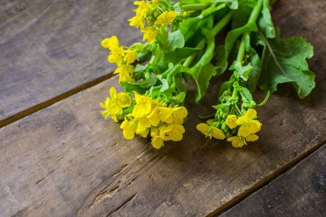 菜の花は栄養価抜群!【菜の花】に含まれる栄養素と効能