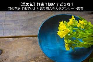 【菜の花】好き？嫌い？どっち？菜の花を『まずい』と思う割合を人気アンケート調査！