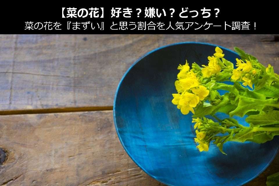 【菜の花】好き?嫌い?どっち?菜の花を『まずい』と思う割合を人気アンケート調査!