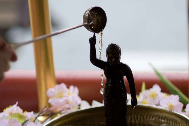 【甘茶】が花まつりで供される理由