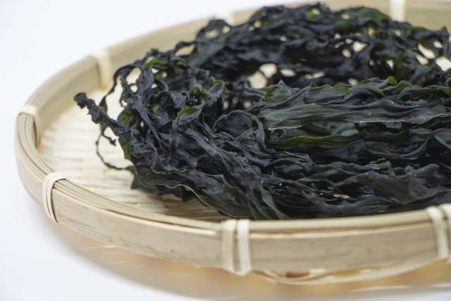 【鳴門わかめ】の特徴・魅力