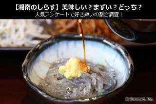 【湘南のしらす】美味しい？まずい？どっち？人気アンケートで好き嫌いの割合調査！