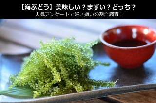 【海ぶどう】美味しい？まずい？どっち？人気アンケートで好き嫌いの割合調査！
