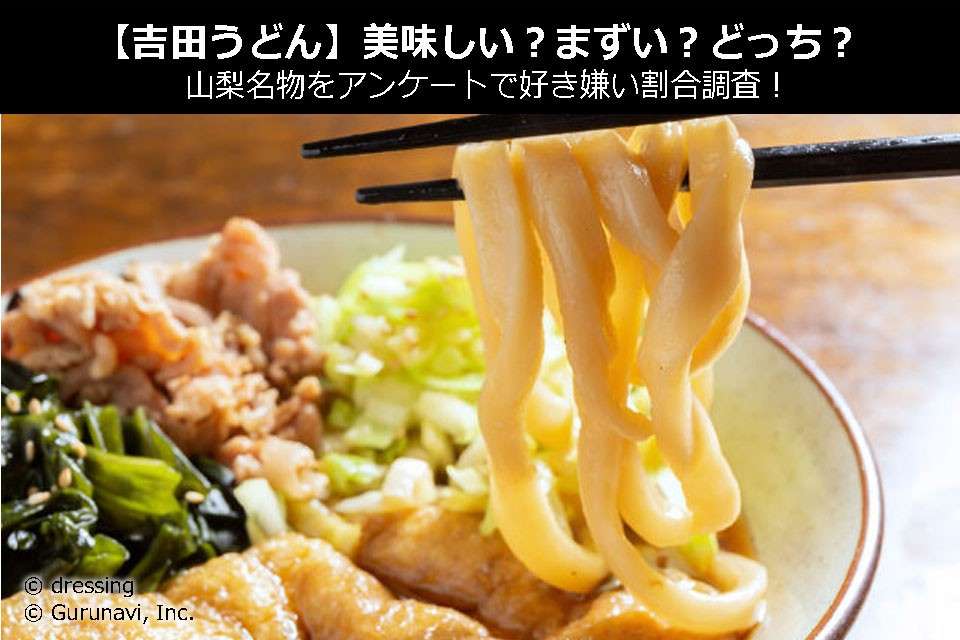 【吉田うどん】美味しい?まずい?どっち?山梨名物をアンケートで好き嫌い割合調査!