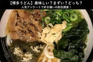 【博多うどん】美味しい？まずい？どっち？人気アンケートで好き嫌いの割合調査！