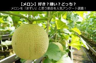 【メロン】好き？嫌い？どっち？メロンを『まずい』と思う割合を人気アンケート調査！